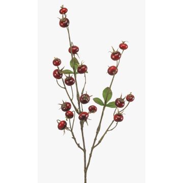 Branche décorative de rosier tubéreux BREVON avec cynorrhodons, rouge, 80 cm Branche décorative de rosier tubéreux BREVON avec cynorrhodons, rouge, 80 cm