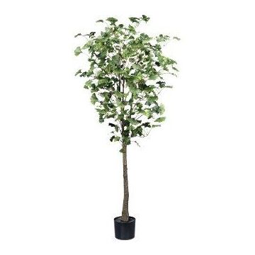 Arbre artificiel Ginkgo MERLIM avec un tronc artificiel, 150cm Arbre artificiel Ginkgo MERLIM avec un tronc artificiel, 150cm