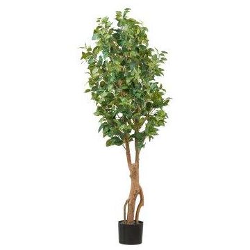 Arbre artificiel Ficus Benjamina NATRONA, troncs naturels, 160cm Arbre artificiel Ficus Benjamina NATRONA, troncs naturels, 160cm