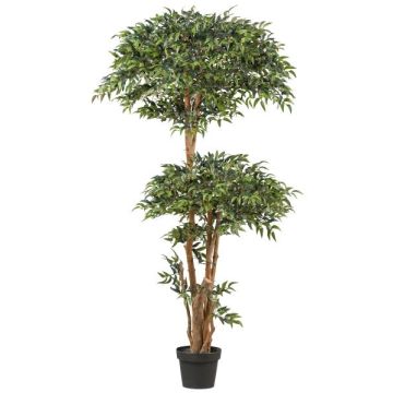 Arbre artificiel Ruscus NEOSHO en pot décoratif, troncs naturels, 170cm