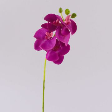 Tige d'orchidée Phalaenopsis artificielle OPHELIA, rose fuchsia, 40cm