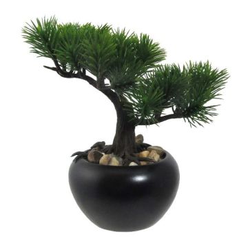 Arbre artificiel Bonsaï pin FALKE avec des racines, pot en céramique, 19cm