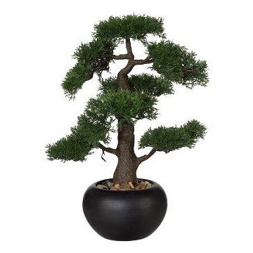 Arbre artificiel Bonsaï cèdre FALKE, pot en céramique, 50cm