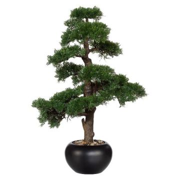 Arbre artificiel Bonsaï cèdre FALKE avec des racines, pot en céramique, 70cm