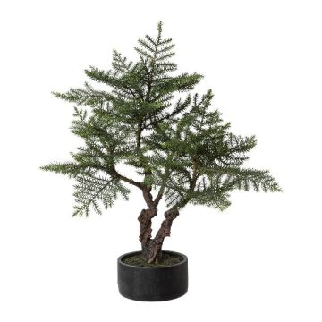 Arbre artificiel Bonsaï araucaria LONSA en pot décoratif, 100cm