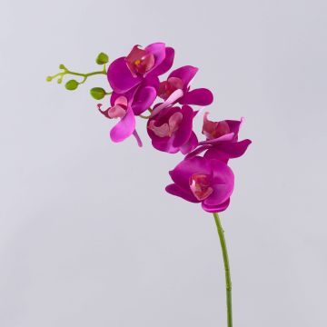 Tige d'orchidée Phalaenopsis artificielle OPHELIA, rose fuchsia, 80cm Tige d'orchidée Phalaenopsis artificielle OPHELIA, rose fuchsia, 80cm