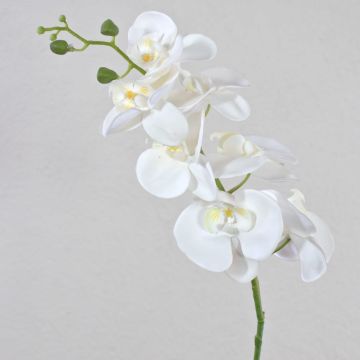 Tige d'orchidée Phalaenopsis artificielle OPHELIA, blanc, 80cm