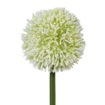 Fleur décorative Allium MENKES, blanc, 65cm