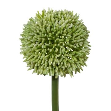 Fleur décorative Allium MENKES, vert, 65cm