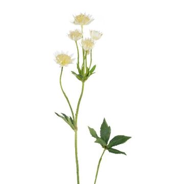 Branche décorative « Sterndolde » GRUHEN, blanc-crème, 65 cm