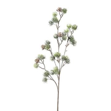 Branche décorative Cèdre SNALTI avec des pommes de pin, givré, blanc-vert, 65cm Branche décorative Cèdre SNALTI avec des pommes de pin, givré, blanc-vert, 65cm