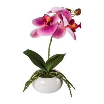 Fleur en plastique Orchidée Phalaenopsis KASDA, coupe en céramique, racines, rose fuchsia, 27cm Fleur en plastique Orchidée Phalaenopsis KASDA, coupe en céramique, racines, rose fuchsia, 27cm