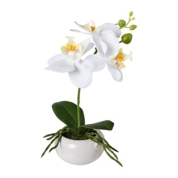 Fleur en plastique Orchidée Phalaenopsis KASDA, coupe en céramique, racines, blanc, 27cm Fleur en plastique Orchidée Phalaenopsis KASDA, coupe en céramique, racines, blanc, 27cm