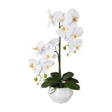 Fleur en plastique Orchidée Phalaenopsis KASDA, pot en céramique, racines, blanc, 50cm