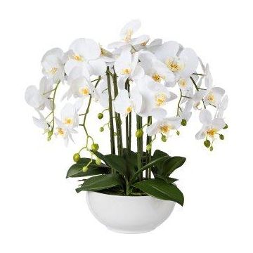 Fleur en plastique Orchidée Phalaenopsis KASDA, coupe en céramique, racines, blanc, 55cm Fleur en plastique Orchidée Phalaenopsis KASDA, coupe en céramique, racines, blanc, 55cm