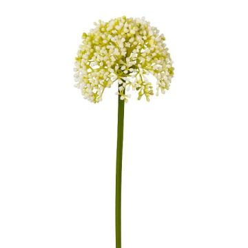 Fleur décorative Allium FERKU, crème, 35cm