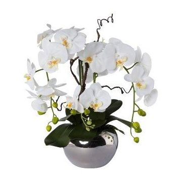 Arrangement d'orchidée et de saule tire-bouchon décoratif LULUDI, pot en céramique argenté, racines, blanc, 55cm Arrangement d'orchidée et de saule tire-bouchon décoratif LULUDI, pot en céramique argenté, racines, blanc, 55cm