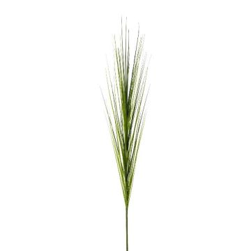 Branche décorative Herbe Isolepis TERVO, vert, 115cm