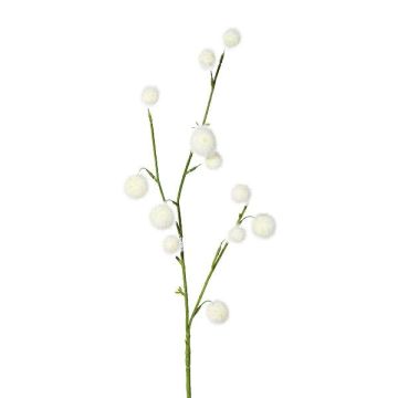 Branche artificielle Gomphocarpus physocarpus BRAVON, fruits, blanc, 80cm