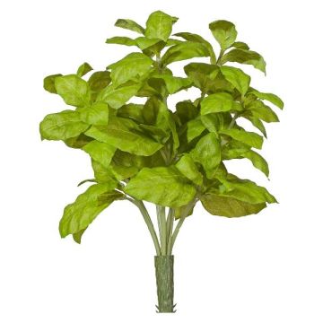 Herbe décorative basilic KRITIKA sur tige, verte, 28 cm Herbe décorative basilic KRITIKA sur tige, verte, 28 cm