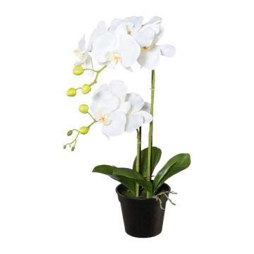 Fleur en plastique Orchidée Phalaenopsis WENJAN, pot décoratif, racines, blanc, 55cm