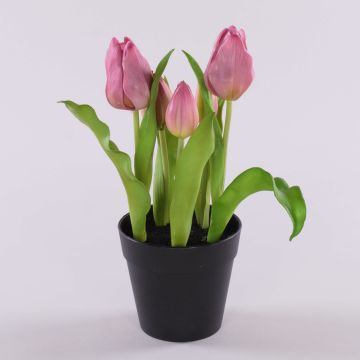 Tulipe en tissu CAITLYN en pot décoratif, lilas-vert, 25cm, Ø2-6cm Tulipe en tissu CAITLYN en pot décoratif, lilas-vert, 25cm, Ø2-6cm