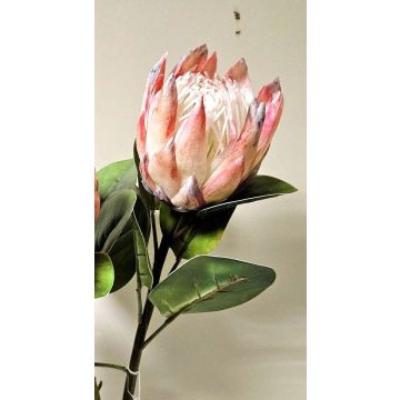 Branche fleurie décorative Protée royale TANIEKA, rose-blanc, 70cm