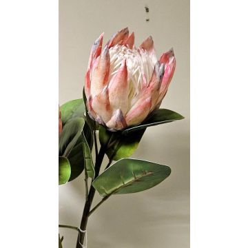 Branche fleurie décorative Protée royale TANIEKA, rose-blanc, 70cm Branche fleurie décorative Protée royale TANIEKA, rose-blanc, 70cm
