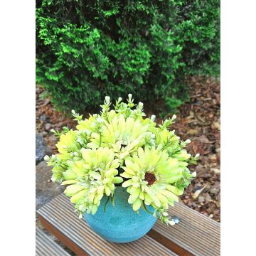 Bouquet décoratif Gerbera TEMBAR, vert-crème, 30cm, Ø22cm Bouquet décoratif Gerbera TEMBAR, vert-crème, 30cm, Ø22cm