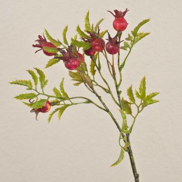 Branche d'églantier décorative VIVEKA avec des cynorrhodons, rouge, 50cm