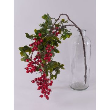 Branche d'églantier en plastique WARUNA avec des cynorrhodons, rouge, 85cm Branche d'églantier en plastique WARUNA avec des cynorrhodons, rouge, 85cm