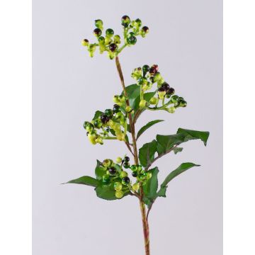 Branche de baies de sureau artificielle CHATANGA avec des fruits, vert-rouge, 60cm Branche de baies de sureau artificielle CHATANGA avec des fruits, vert-rouge, 60cm