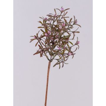 Branche de gaultheria décorative VARDALIN avec des fruits, vert-rose, 55cm Branche de gaultheria décorative VARDALIN avec des fruits, vert-rose, 55cm