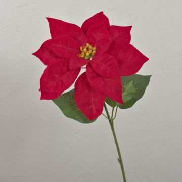 Poinsettia en velours LIBASSE, rouge, 50cm