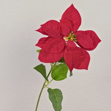 Poinsettia en velours LIBASSE, rouge, 65cm
