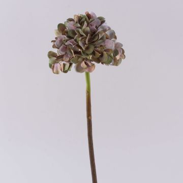 Fleur artificielle Hortensia MANDISA, vert-rose, 65cm