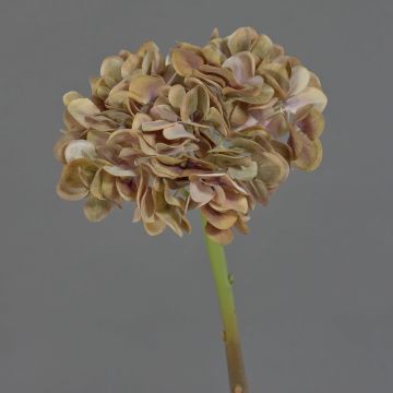 Fleur artificielle Hortensia MANDISA, brun-rose, 65cm
