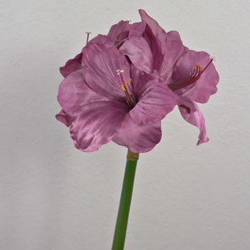 Fleur artificielle Amaryllis MARANON, violet, 70cm