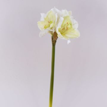 Fleur décorative Amaryllis MARKUNO, crème-blanc, 60cm