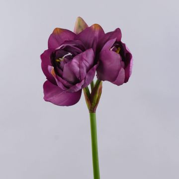 Fleur artificielle Amaryllis MAURINE, violet, 80cm