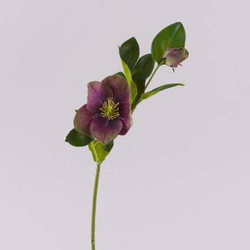 Fleur artificielle Rose de Noël MITTWEIDA, violet-vert, 35cm