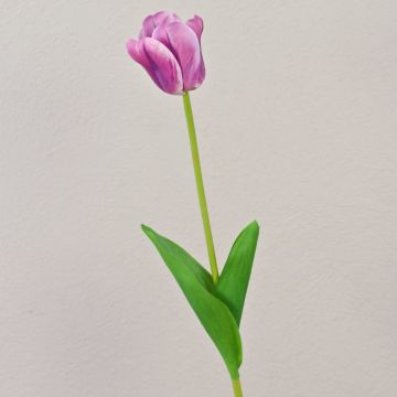 Fleur artificielle Tulipe PJASSINA, violet-blanc, 65cm