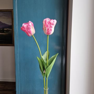 Fleur artificielle Tulipe PJASSINA, rose foncé-crème, 65cm Fleur artificielle Tulipe PJASSINA, rose foncé-crème, 65cm