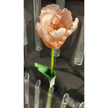 Fleur en plastique Tulipe perroquet PETSCHORA, abricot-rose, 65cm