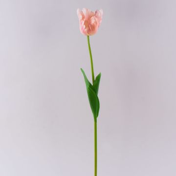 Fleur en plastique Tulipe perroquet PETSCHORA, abricot-rose, 65cm