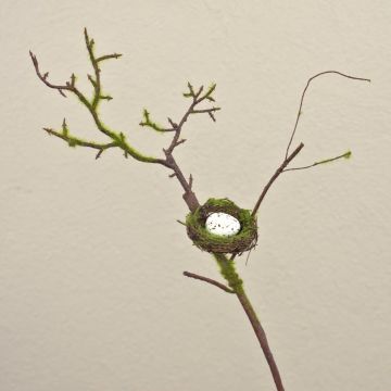 Branche de pommier artificielle INDIKIRKA avec un nid d'oiseau, mousse, brun-vert, 75cm