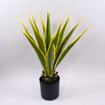 Agave furcraea gigantea artificiel CHERIE, vert-jaune, 80cm Agave furcraea gigantea artificiel CHERIE, vert-jaune, 80cm