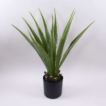 Agave furcraea gigantea artificiel CHERIE, vert-gris, 80cm Agave furcraea gigantea artificiel CHERIE, vert-gris, 80cm