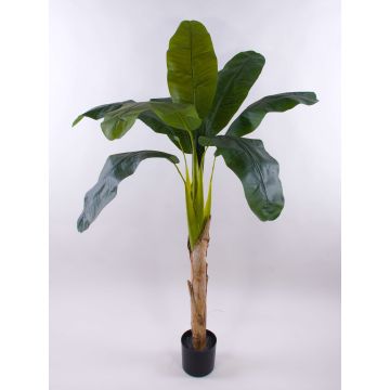 Palmier artificiel Bananier SHARA, 150cm Palmier artificiel Bananier SHARA, 150cm