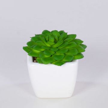Echeveria gibbiflora artificiel KATNISS, pot en céramique, vert, 6cm Echeveria gibbiflora artificiel KATNISS, pot en céramique, vert, 6cm